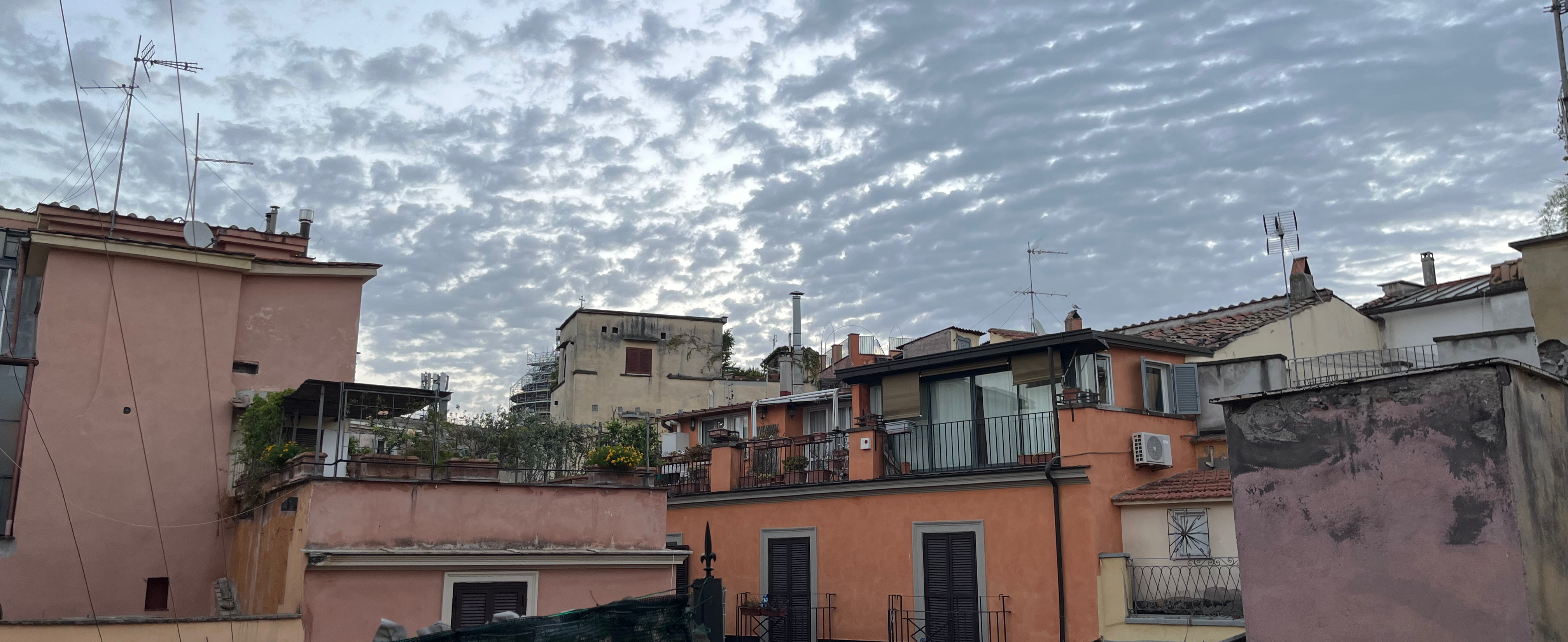 Roman Rooftops View